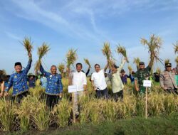 Panen Raya di Indramayu, Pj. Gubernur Jabar Dorong Peningkatan Produksi Padi