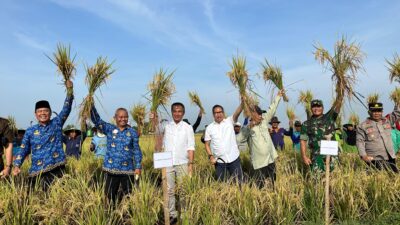 Panen Raya di Indramayu, Pj. Gubernur Jabar Dorong Peningkatan Produksi Padi