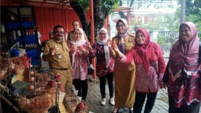 Ternak Ayam Petelur di Halaman Kantor, Cara Camat Lohbener Tingkatkan Gizi Anak Stunting