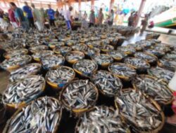 Produksi Ikan Melimpah, Kabupaten Indramayu Jadi yang Terbesar