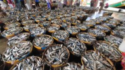 Produksi Ikan Melimpah, Kabupaten Indramayu Jadi yang Terbesar