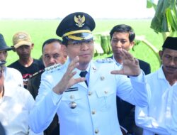 Bupati Indramayu Lucky Hakim: Kemerdekaan Bukan Seremoni, tapi Tanggung Jawab Nyata